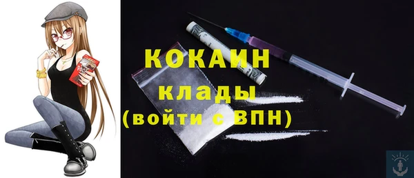 альфа пвп Медвежьегорск