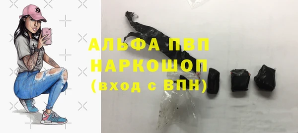 соль ск Медногорск